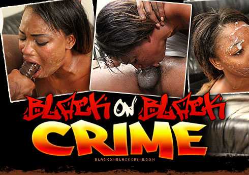 Black On Black Crime Destroys Dakota